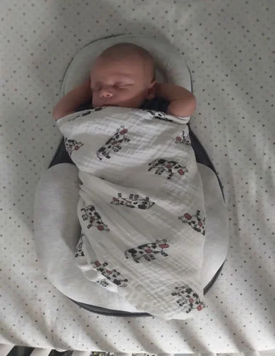 🔥LAST DAY 49% OFF👶Portable Baby Bed