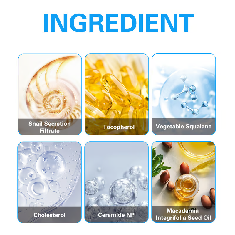 2024 Hot Sale Anti Blemish Moisturizing Anti-Wrinkle Collagen Cream