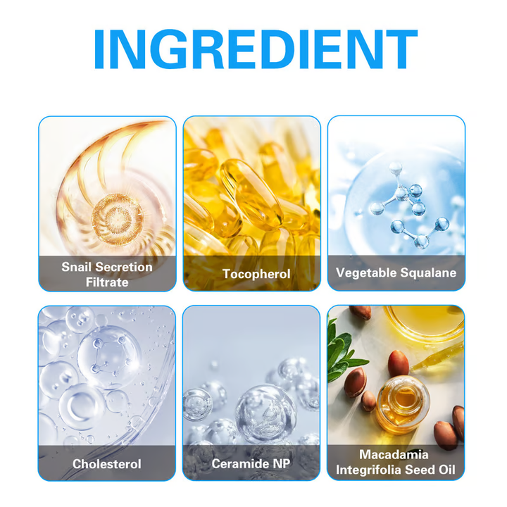 2024 Hot Sale Anti Blemish Moisturizing Anti-Wrinkle Collagen Cream
