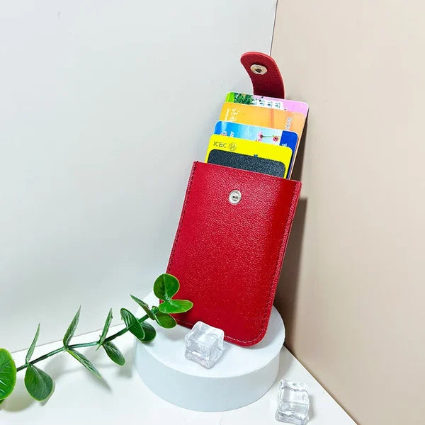 2024 New Pull Out Card Holder