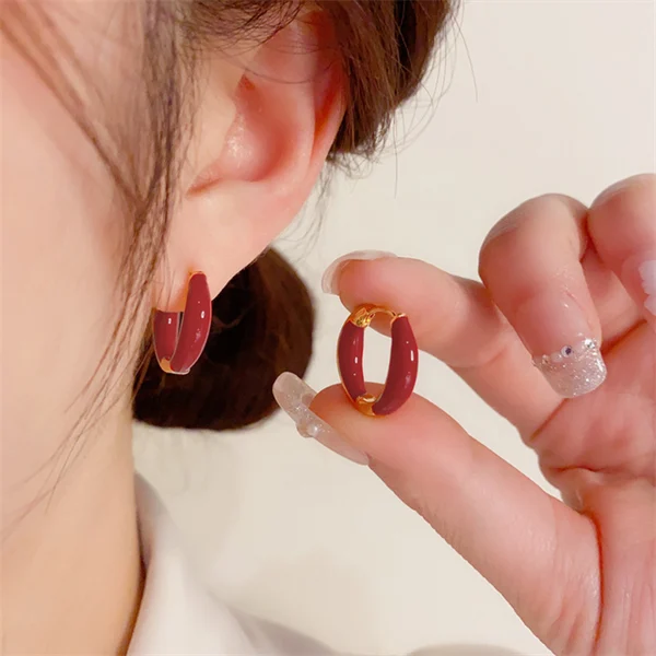 Elegant And Fashionable Hoop Earrings