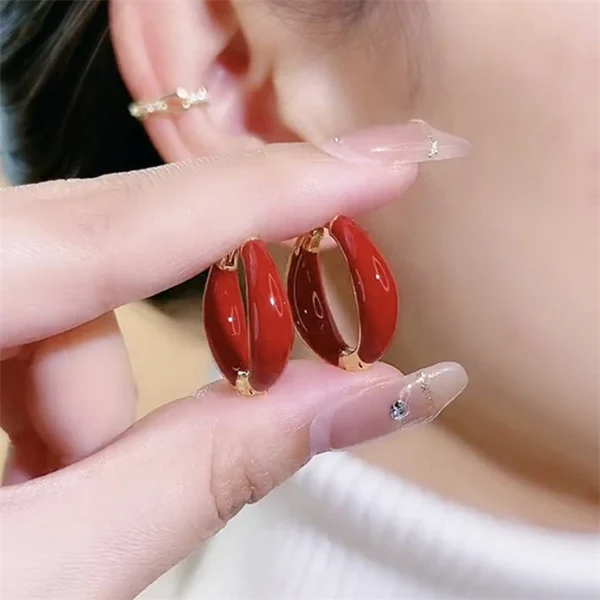 Elegant And Fashionable Hoop Earrings