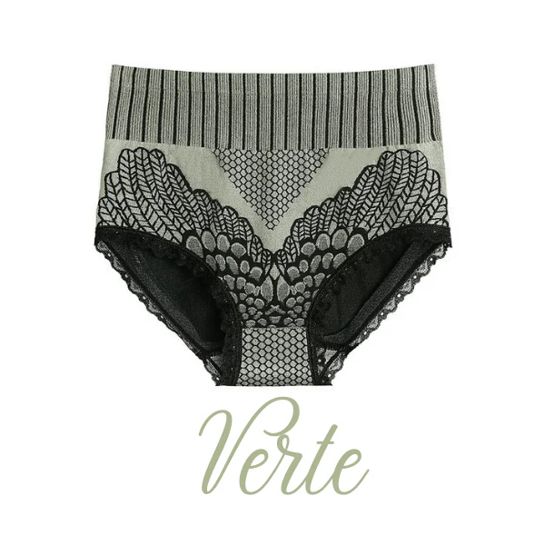 New Womens Lace Panties High Waist Underwear