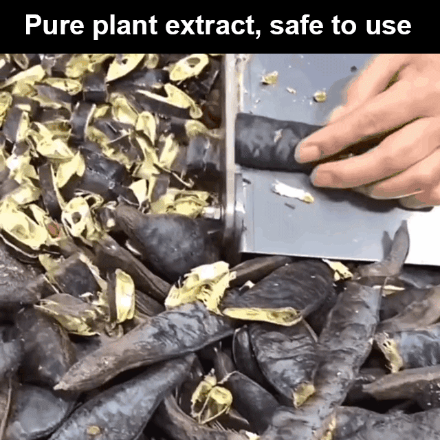 Phyto-extract hair stick