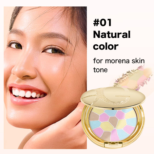 Concealer oil control makeup 3 in 1 face powder