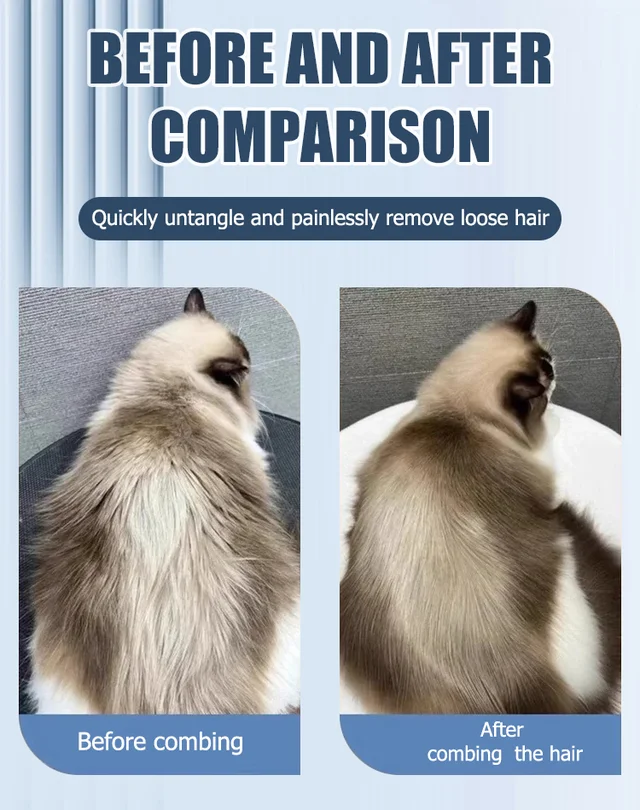 3 in 1 pet grooming hair dryer