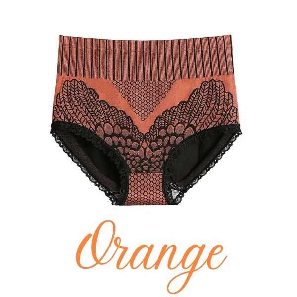 New Womens Lace Panties High Waist Underwear