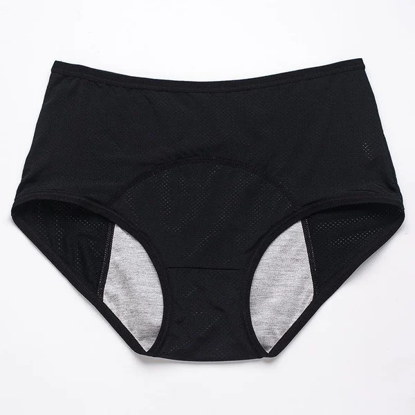 Leak Proof Protective Panties