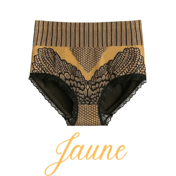 New Womens Lace Panties High Waist Underwear