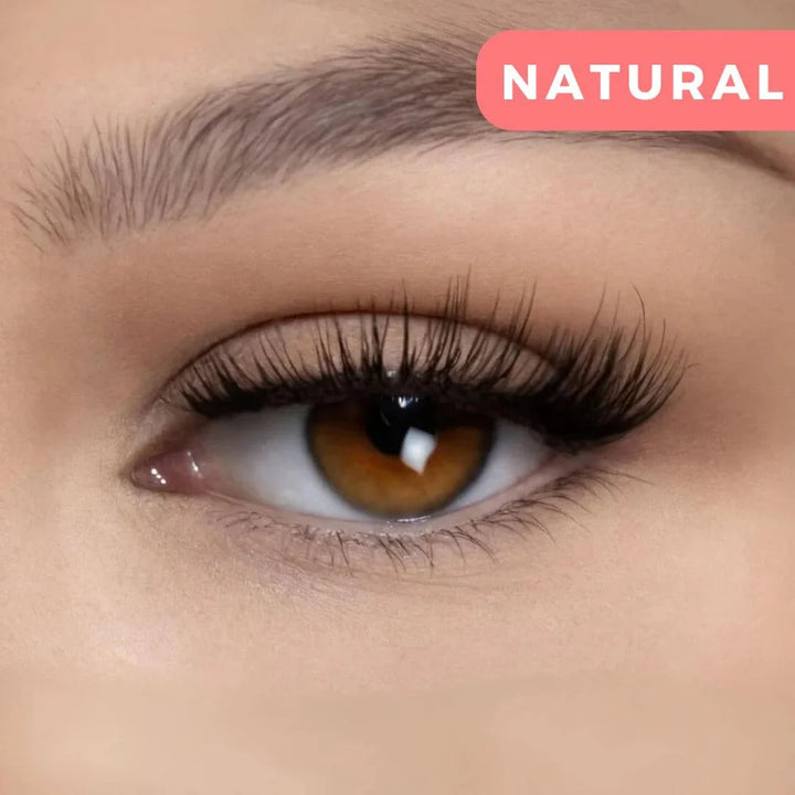 Premium Magnetic Eyelashes 🎁 Easy Quick  Safe