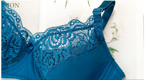 Plus Size Lace Bra
