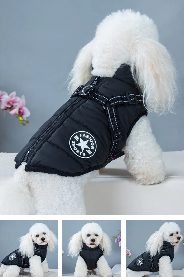 Waterproof Winter Jacket with Built in Harness