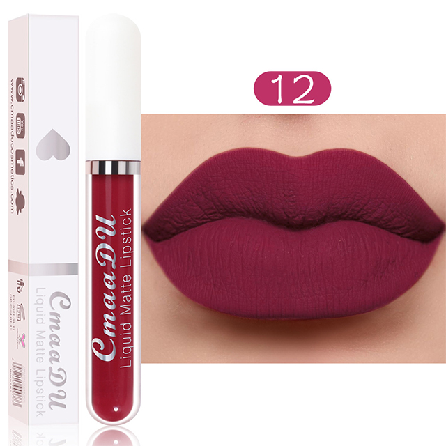 18 Shades of Matte Waterproof Long Lasting Lip Gloss