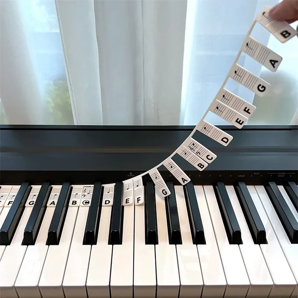 Removable Piano Keyboard Note Labels