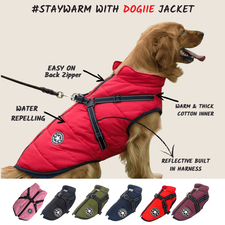 Waterproof Winter Jacket with Built in Harness