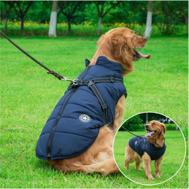 Waterproof Winter Jacket with Built in Harness