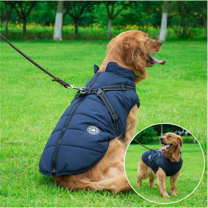 Waterproof Winter Jacket with Built in Harness