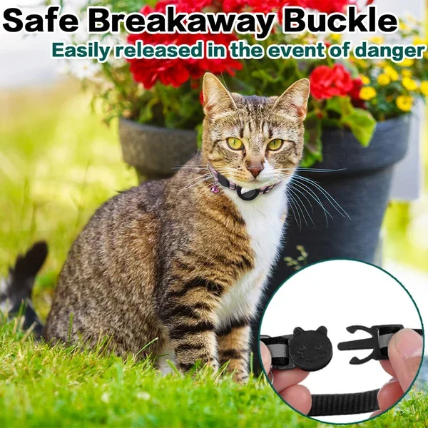 The AirTag Collar