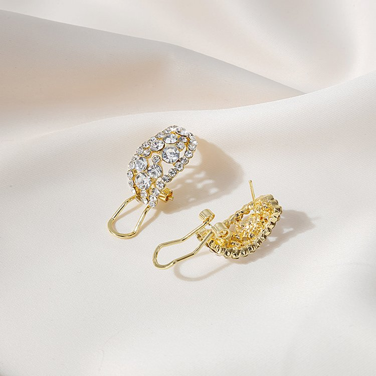 Full Diamond Sparkle Earrings