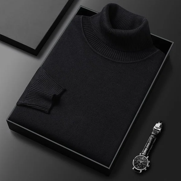 Mens Solid Color Turtleneck Sweater