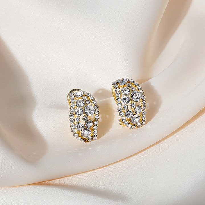 Full Diamond Sparkle Earrings