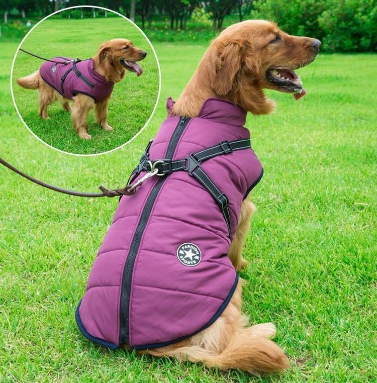 Waterproof Winter Jacket with Built in Harness