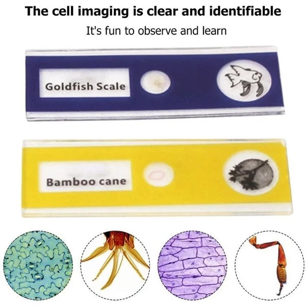 Kids Portable Pocket Microscope