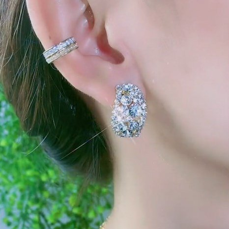 Full Diamond Sparkle Earrings