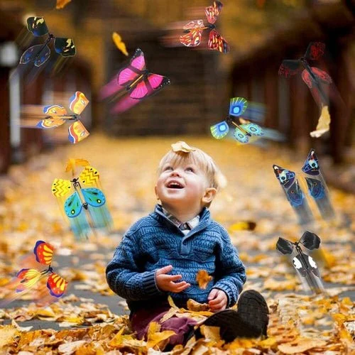 Magic Flying Butterfly