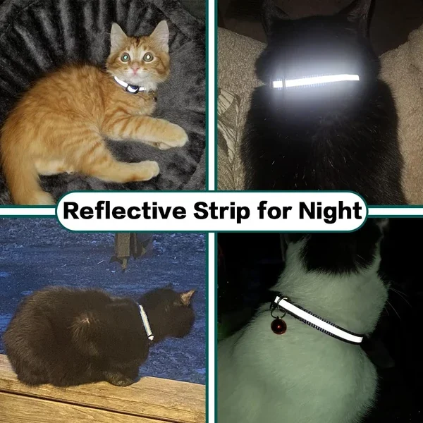 The AirTag Collar