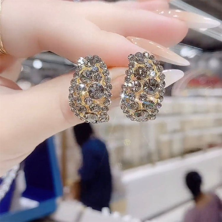 Full Diamond Sparkle Earrings