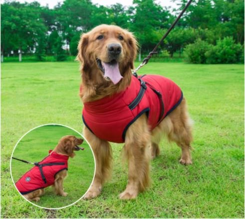 Waterproof Winter Jacket with Built in Harness