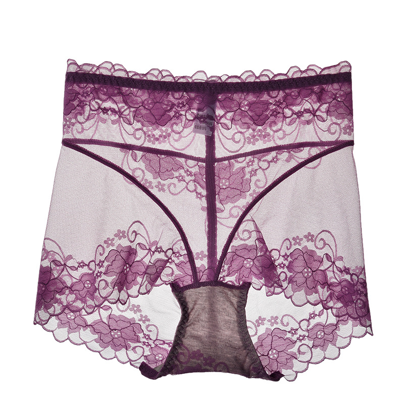Mesh See Through Tummy Tucking Hips Lifting Panties